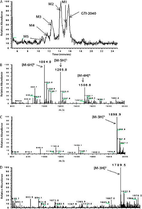 total ion chromatogram|Total Ion Chromatogram (TIC) .